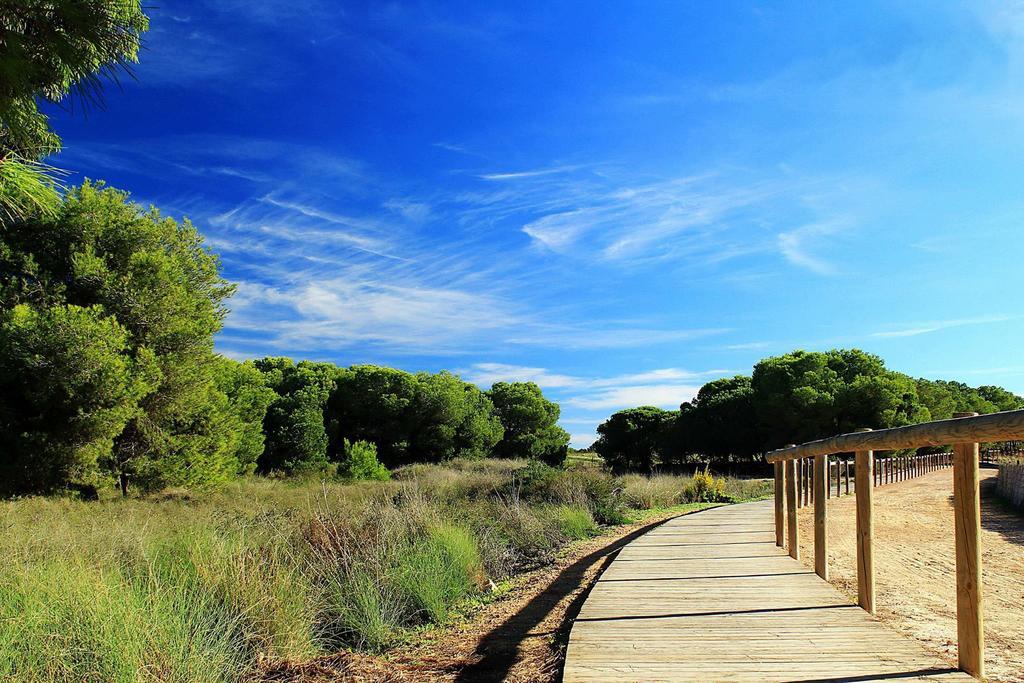 Appartamento La Siesta Torrevieja Camera foto