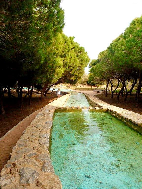 Appartamento La Siesta Torrevieja Esterno foto