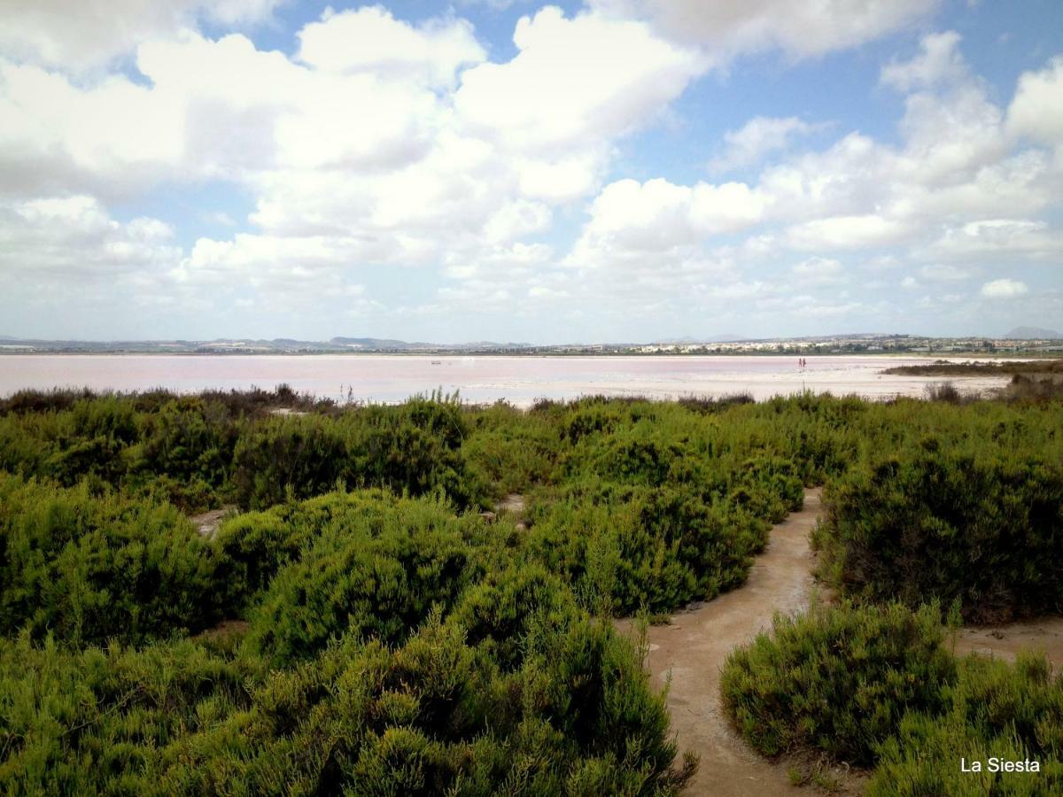 Appartamento La Siesta Torrevieja Esterno foto